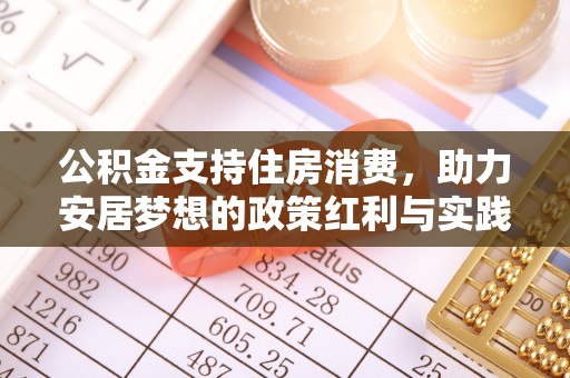 门源公积金支持住房消费，助力安居梦想的政策红利与实践
