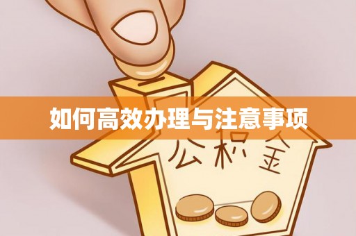 门源如何高效办理与注意事项