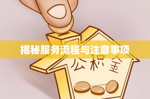门源揭秘服务流程与注意事项