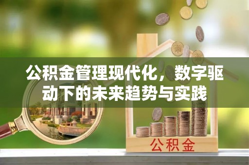 门源公积金管理现代化，数字驱动下的未来趋势与实践