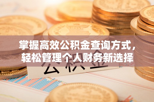 门源掌握高效公积金查询方式，轻松管理个人财务新选择