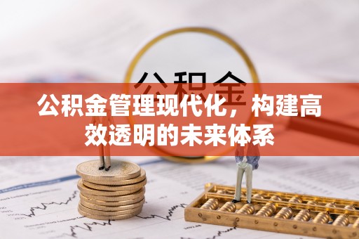 门源公积金管理现代化，构建高效透明的未来体系