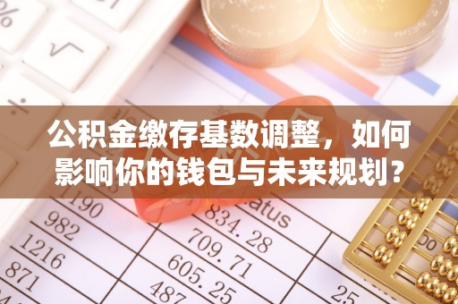 门源公积金缴存基数调整，如何影响你的钱包与未来规划？