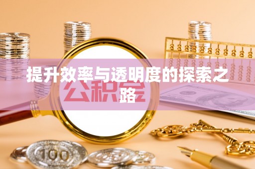 门源提升效率与透明度的探索之路