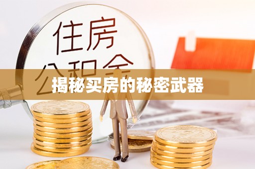 门源揭秘买房的秘密武器