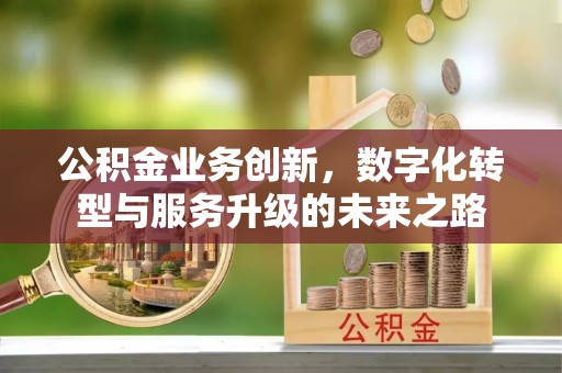门源公积金业务创新，数字化转型与服务升级的未来之路