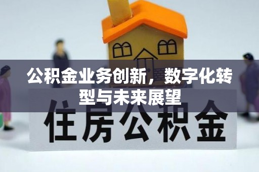 门源公积金业务创新，数字化转型与未来展望