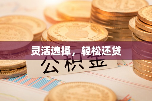 门源灵活选择，轻松还贷