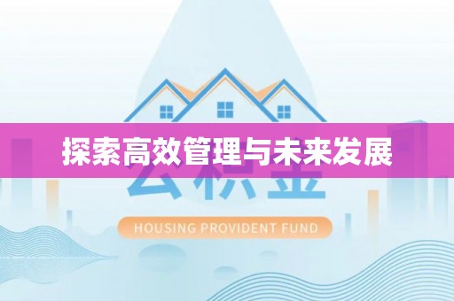 门源探索高效管理与未来发展