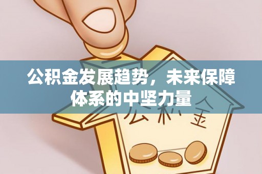 门源公积金发展趋势，未来保障体系的中坚力量