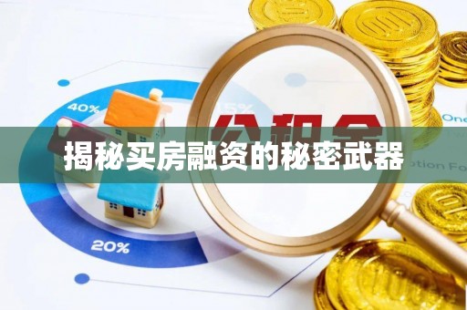 门源揭秘买房融资的秘密武器