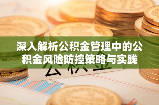 门源深入解析公积金管理中的公积金风险防控策略与实践
