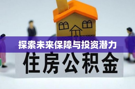 门源探索未来保障与投资潜力