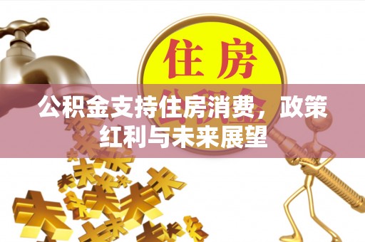 门源公积金支持住房消费，政策红利与未来展望
