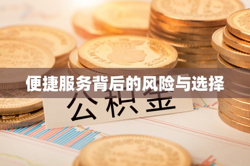 门源便捷服务背后的风险与选择