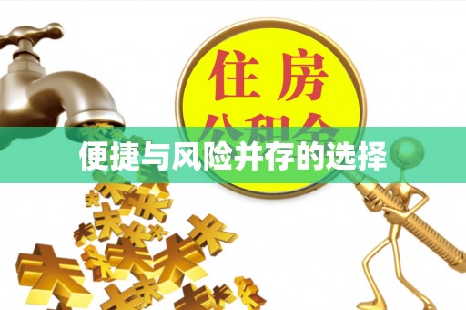 门源便捷与风险并存的选择